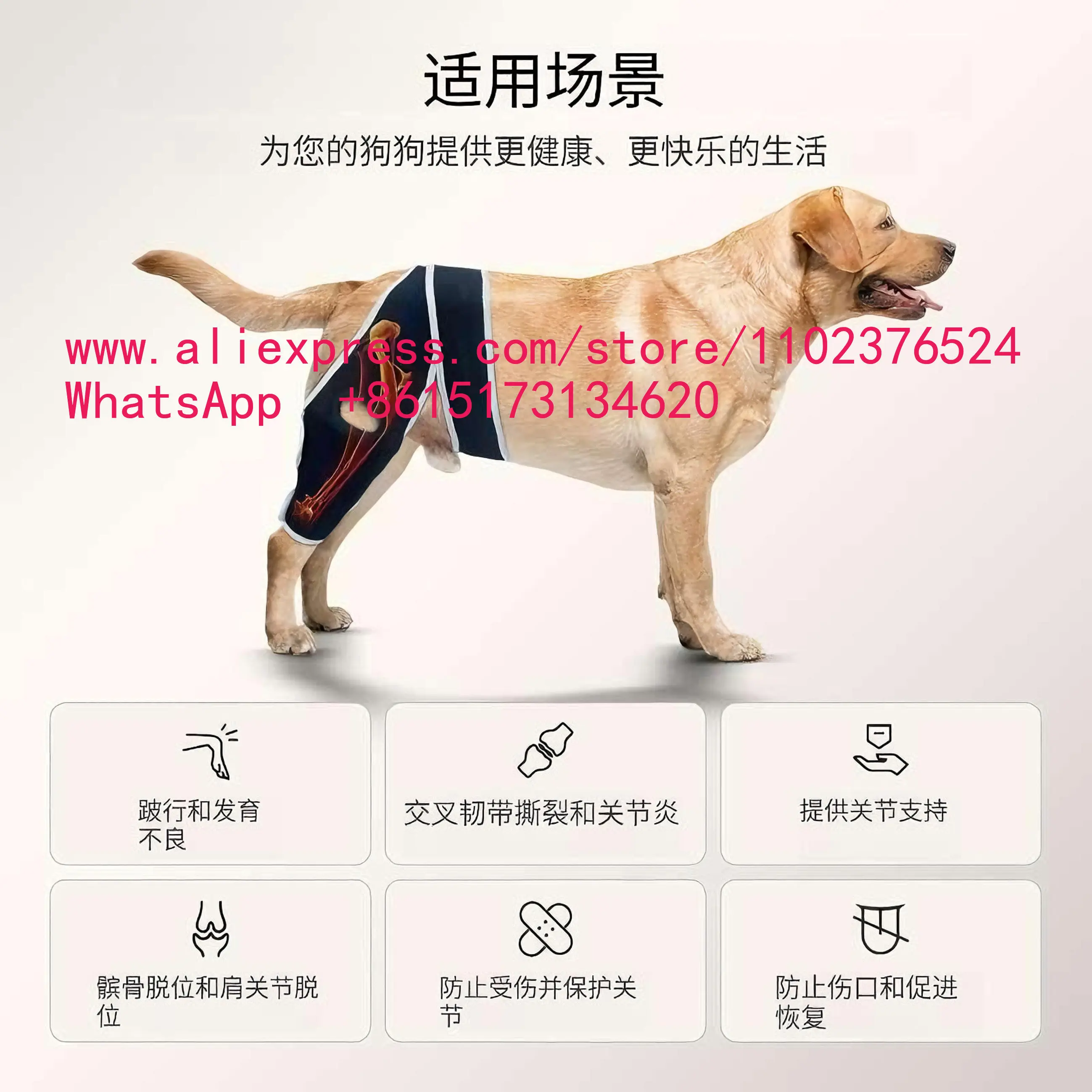 Dog hip knee braces are used to adjust torn ACL leg support injuries