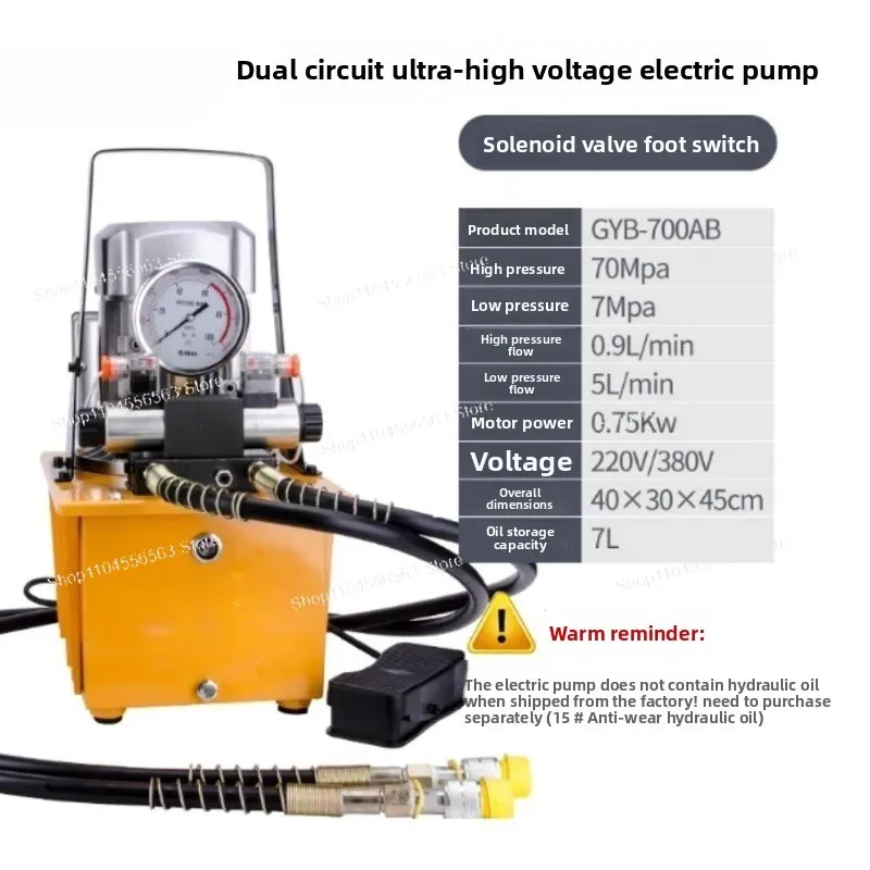 Dual Circuit Electric Pump – High-Efficiency Fluid Transfer Pump for Industrial & Commercial Use