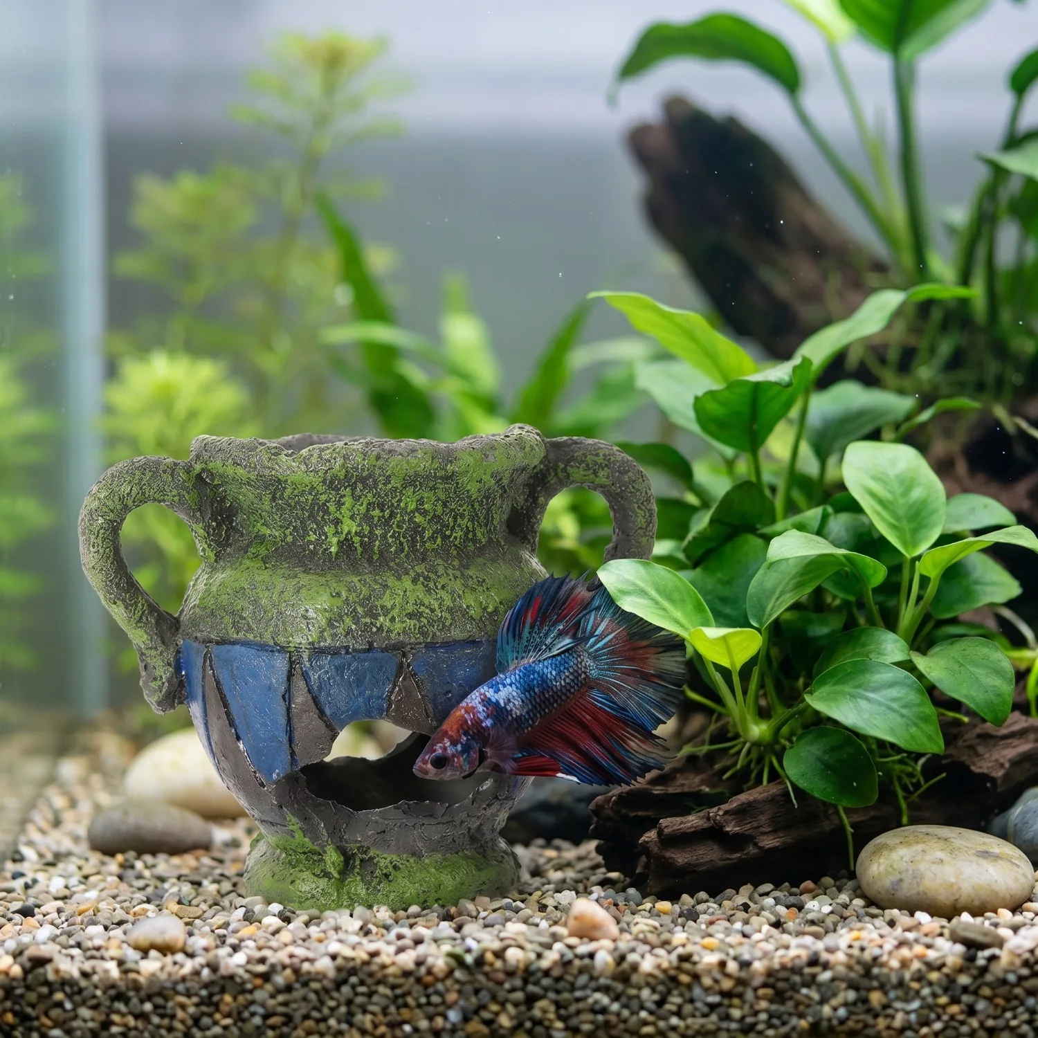 Ornamen Akuarium Tempat Persem - Aquarium Fish Pot ulasan dan harga