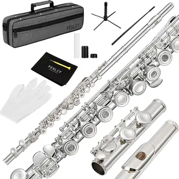 Fesley Closed Hole C Flute, Musical Instruments Flute for Kids Beginner and Band, 16 Keys Flutes with Flute Case