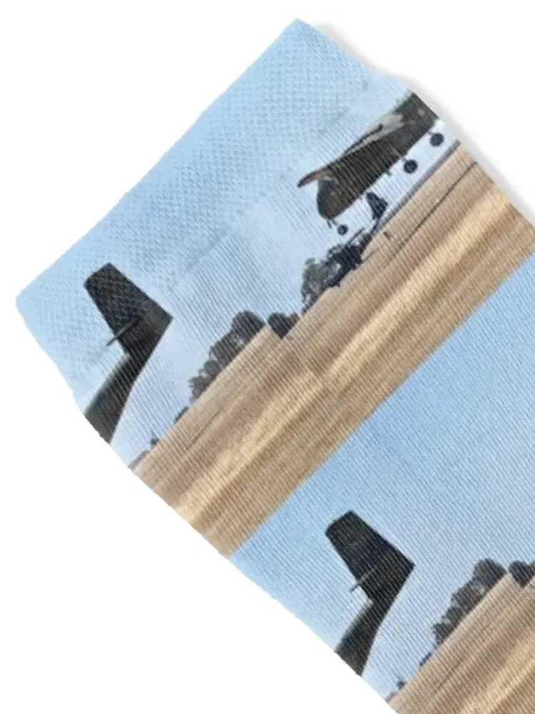 Caribou & Catalina, Edinburgh Airshow 2019 Socks Stockings compression Men's summer Men Socks Women's