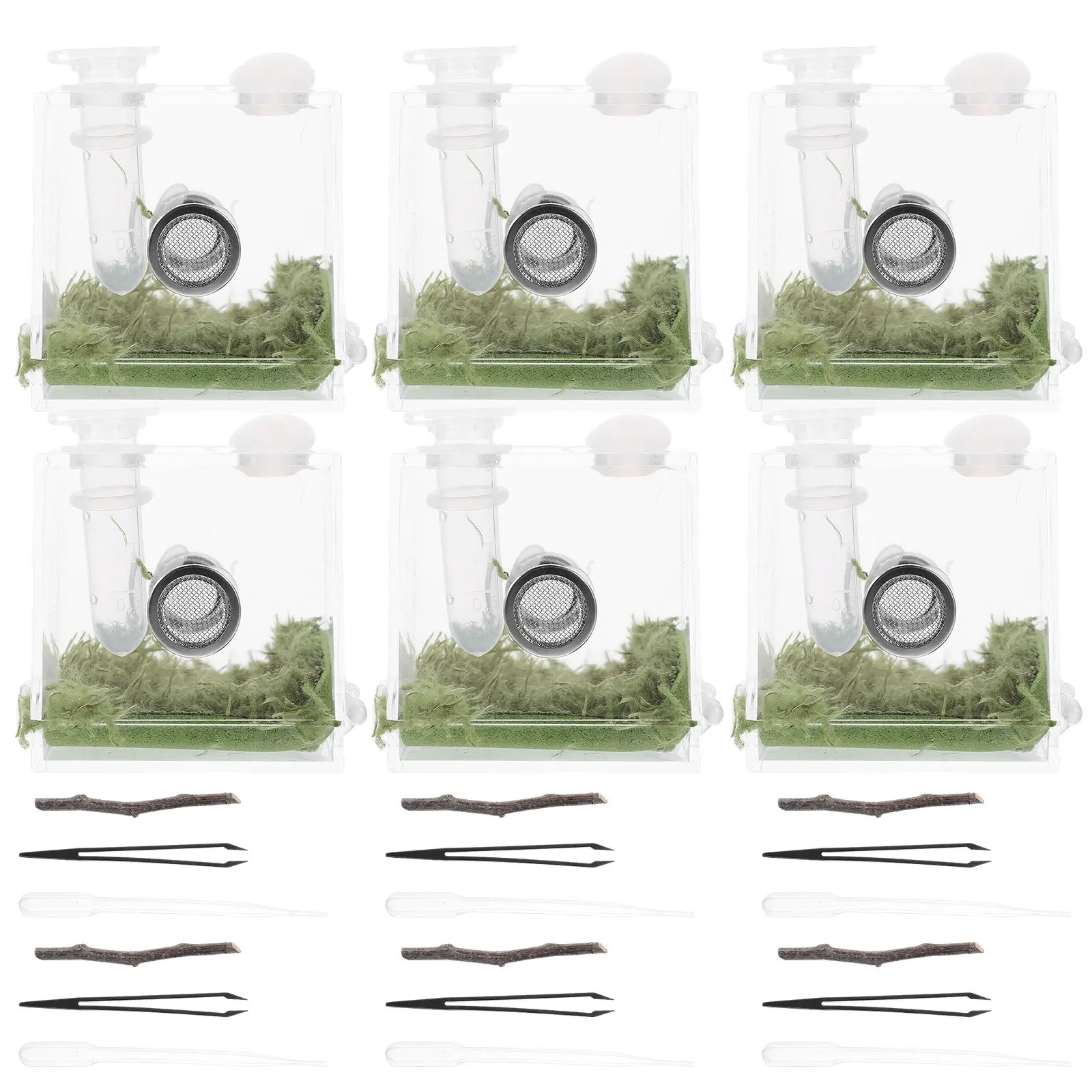 

2 комплекта прозрачных контейнеров для разведения пауков-скакунов, рептилий, тарантулов, скорпионов, улиток, мелких ящериц, с защитой от влаги