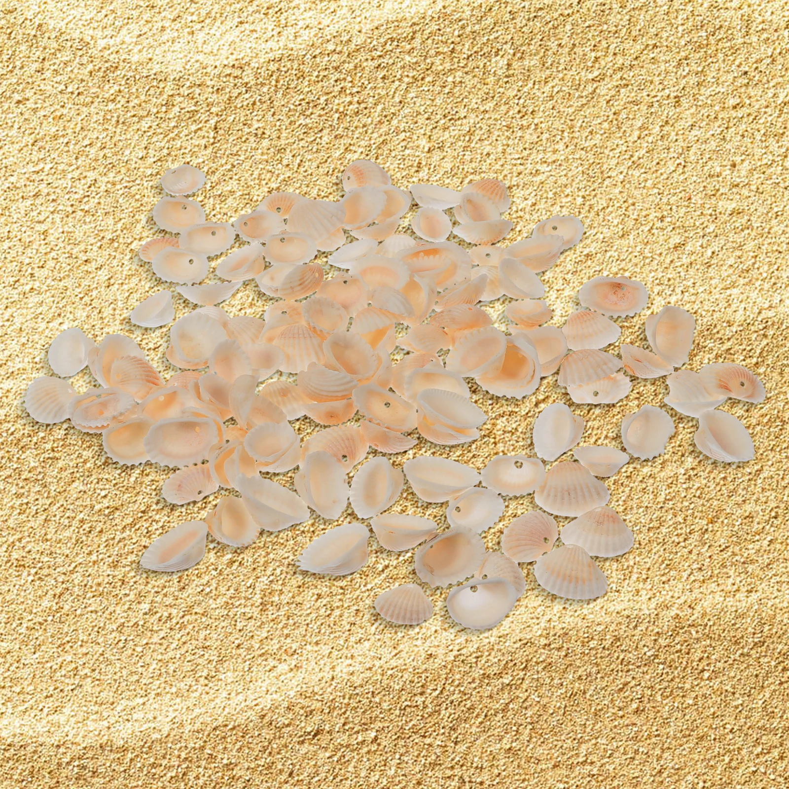 

120 Pcs Accessories Natural Shells Reusable Clam Bead DIY Clothing Accessories Crafts Clothing Decorative Durable Practical
