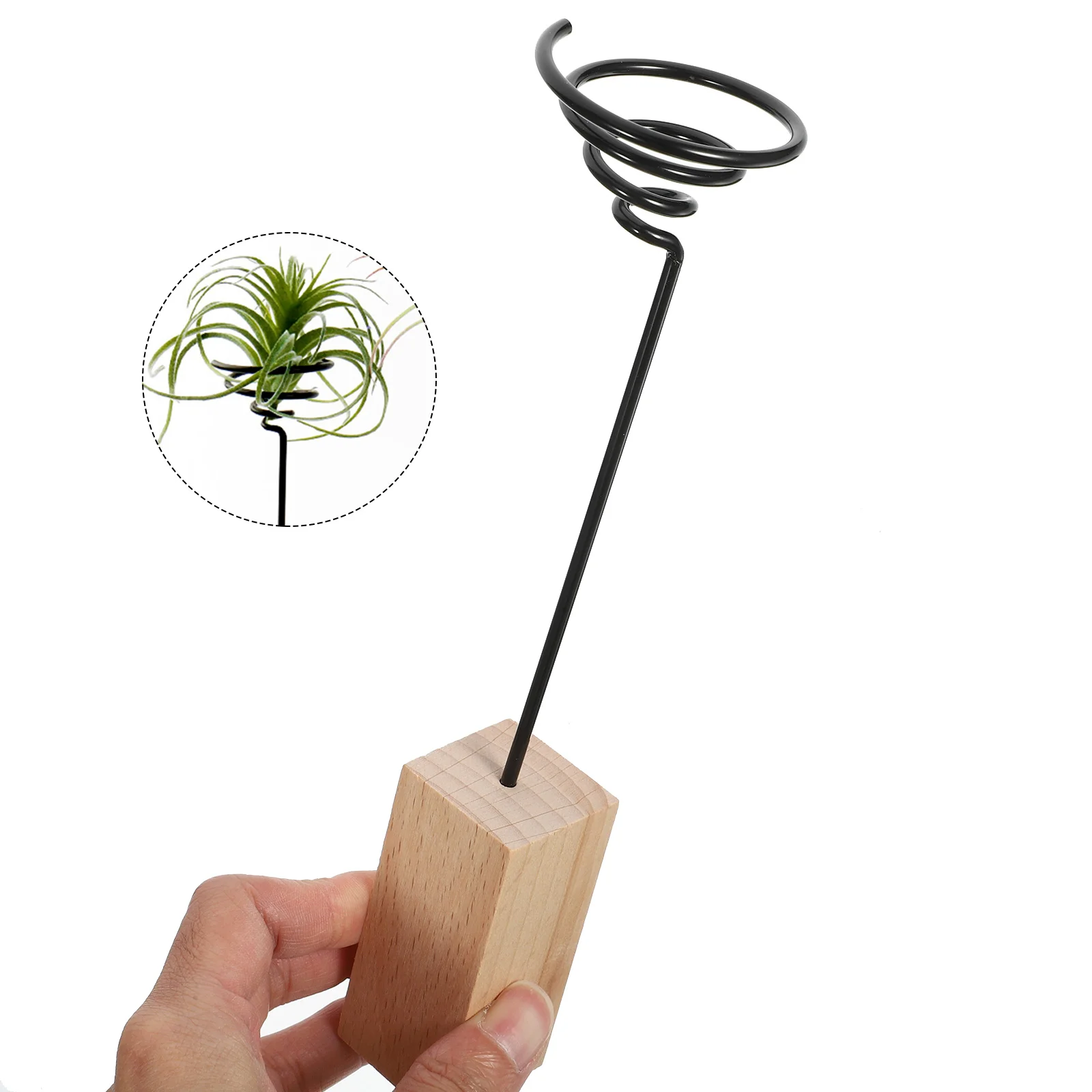 3 Pcs Plant Stand Air Holder Desk Card Tillandsia Desktop Display Rack Container