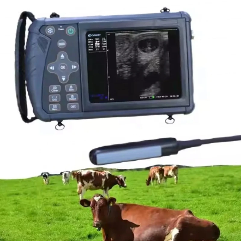 

Handheld Portable Vet Ultrasound Scanner Equipment Veterinary Ultrasound Machine for Animals Dog Cow Horse Pig