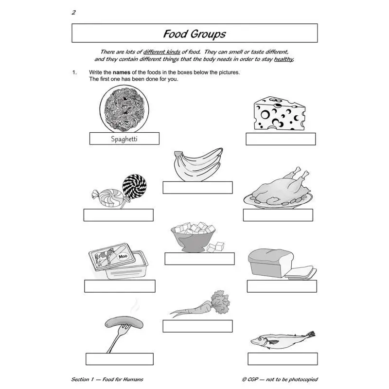 KS2 Science Year Three Workout Nutrition  The Body CGP Books Coordination Group Publications 9781782940807 Book