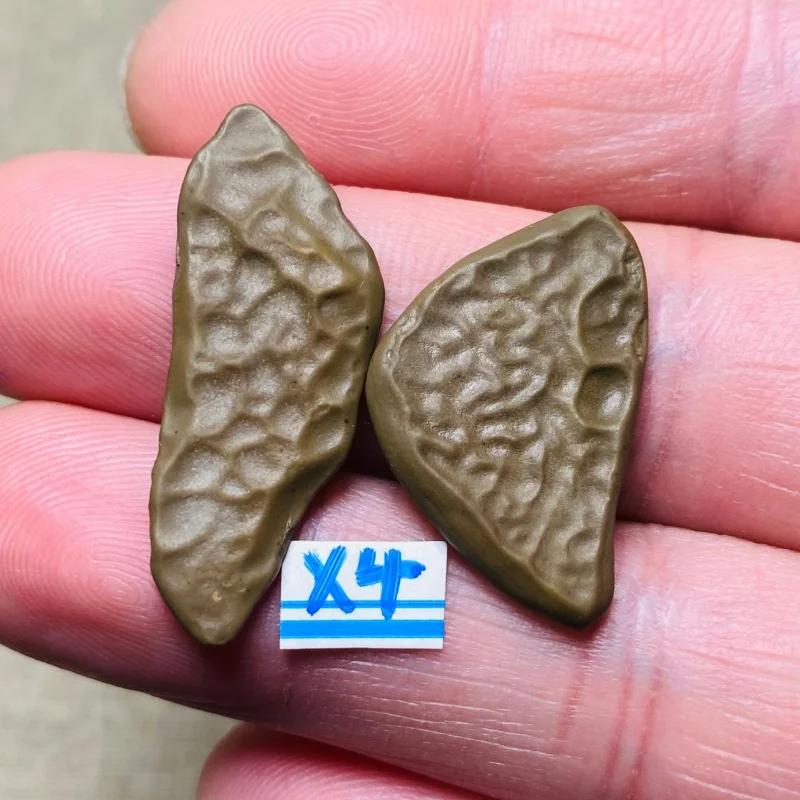 Natural Gobi Desert Mudstone Mineral Specimen with Unusual Texture Energy Chakra Stone