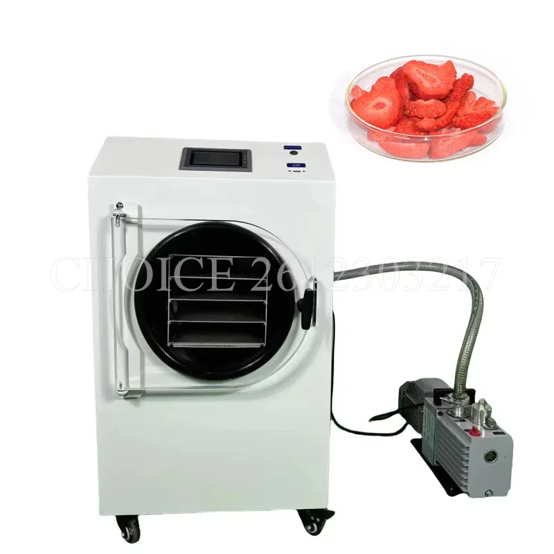 USA In-Stock Vegetables Fruit Vacuum Freeze Dryer Mini Lyophilizer Food Freeze Drying Food Dehydrator for Household