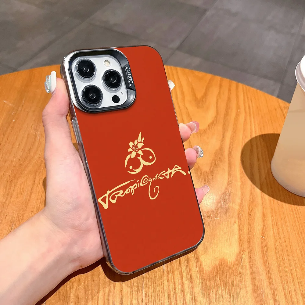 Colombian singer Karol G phone case FUNDA for iPhone 12 11 13 14 15 16 17Max Pro Plus Mini Color Protective Case