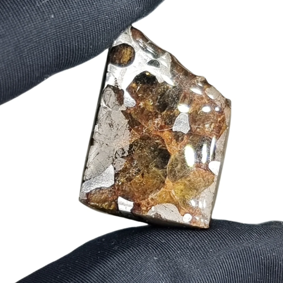 

22.7g Seymchan Pallasite Olive Meteorite Slices Specimen Natural Meteorite Material Sliced Collection - TA644
