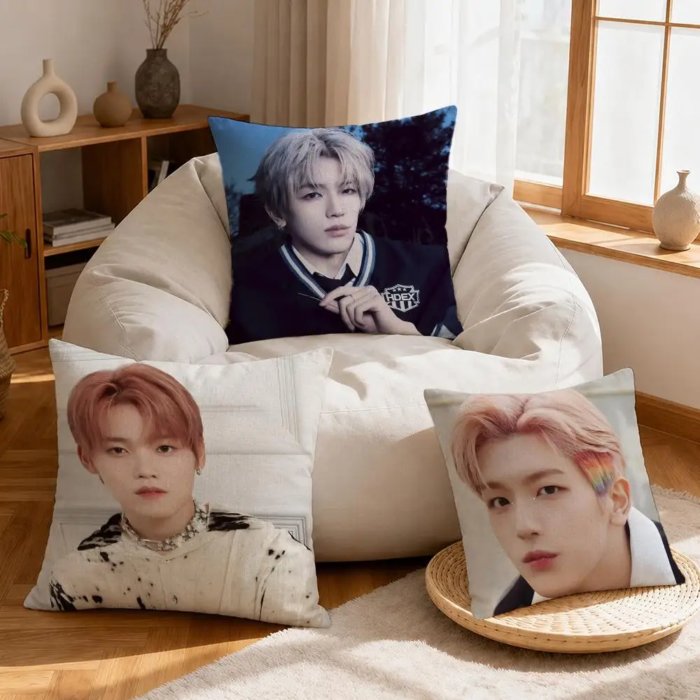 Person Takatsuka Hiromu Cushion Cover Linen Anti-Mite Antibacterial Cushion Cover Invisible Zipper Sofa Decor