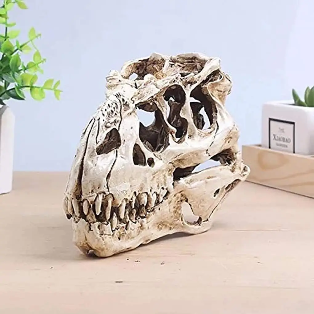 Tyrannosaur Skull T-Rex Skull Gifts Lifelike Resin Crafts Dinosaur Skull Fossil Teaching Skeleton Model Home Aquarium Decor