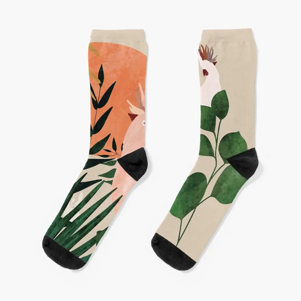 Cockatoo jungle modern Socks designer Crossfit Woman Socks Men's