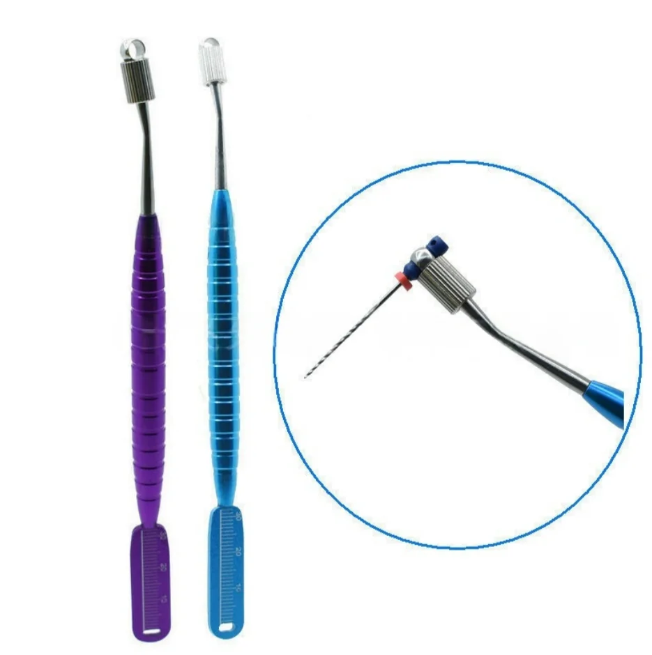 

Dental Endodontic Files Holder Root Teeth Canal Treatment Instrument Dentist Auxiliary Root Canal Oral Care Tools Files Holder