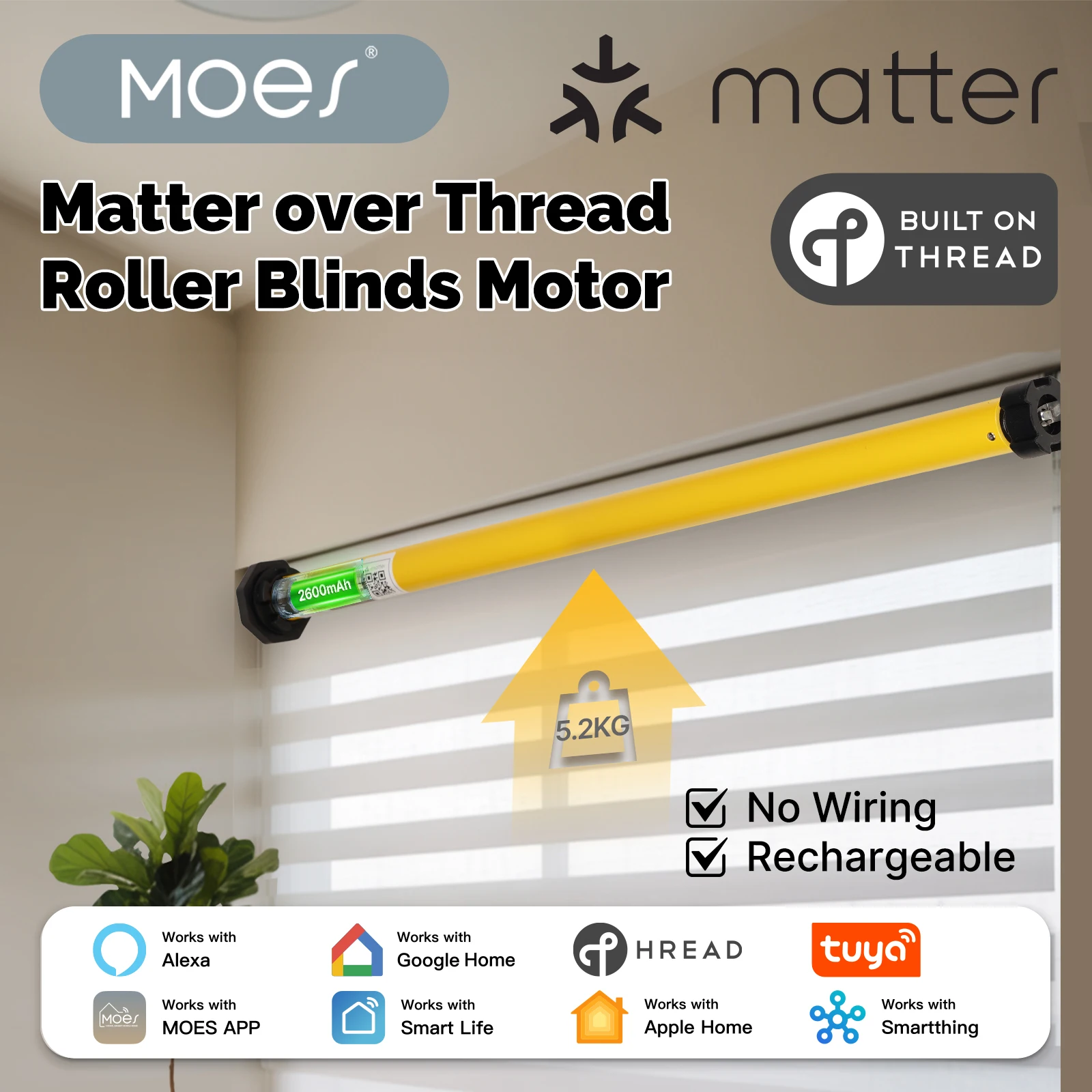 MOES Tuya Matter Over Thread Smart Roller Blinds Shade Motor Shutter Curtains Automation For 38mm Tube Alexa Google Home Homekit