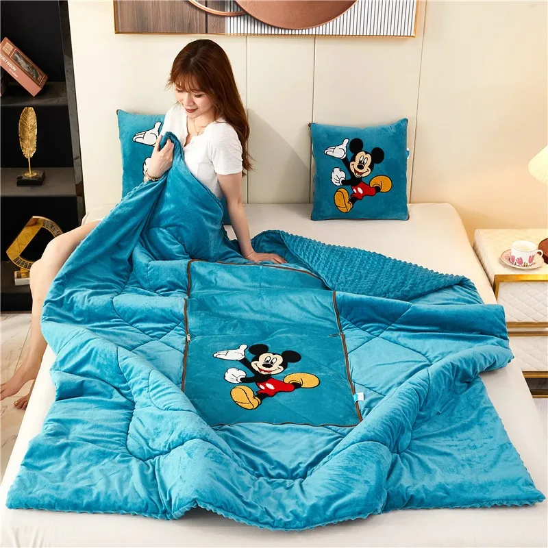 Disney Mickey Mouse Four Seasons Thick Plush Blanket Pillow: My