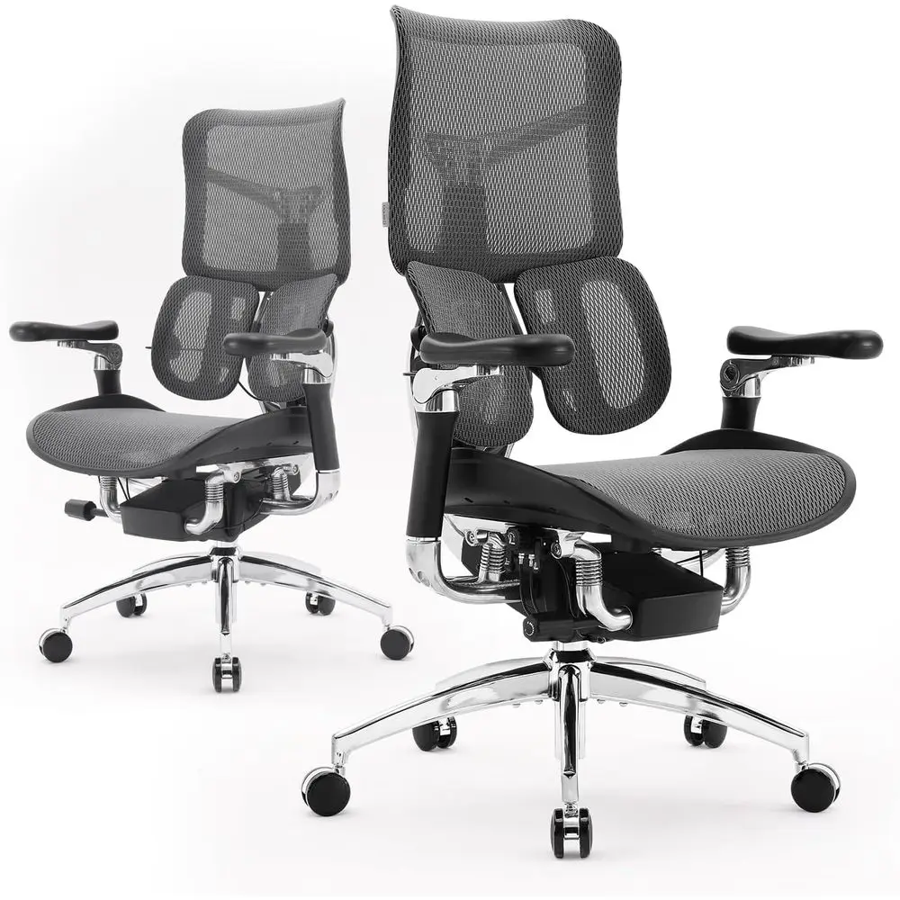 

Ergonomic Office Chair with Dual Lumbar Support, 6D Armrests, Adjustable Rolling Computer and Gaming Chair in Velvet Mesh