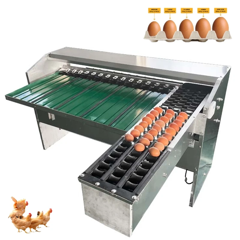 Industrial egg classifier Poultry egg weight classification sorting machine 15,000 breeding equipment per hour