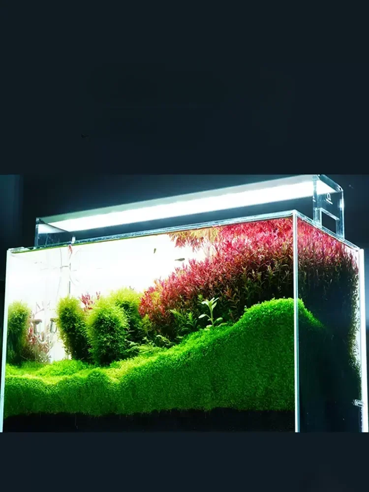 MODIAN Water grass lamp aquarium lighting color display WRGB beads