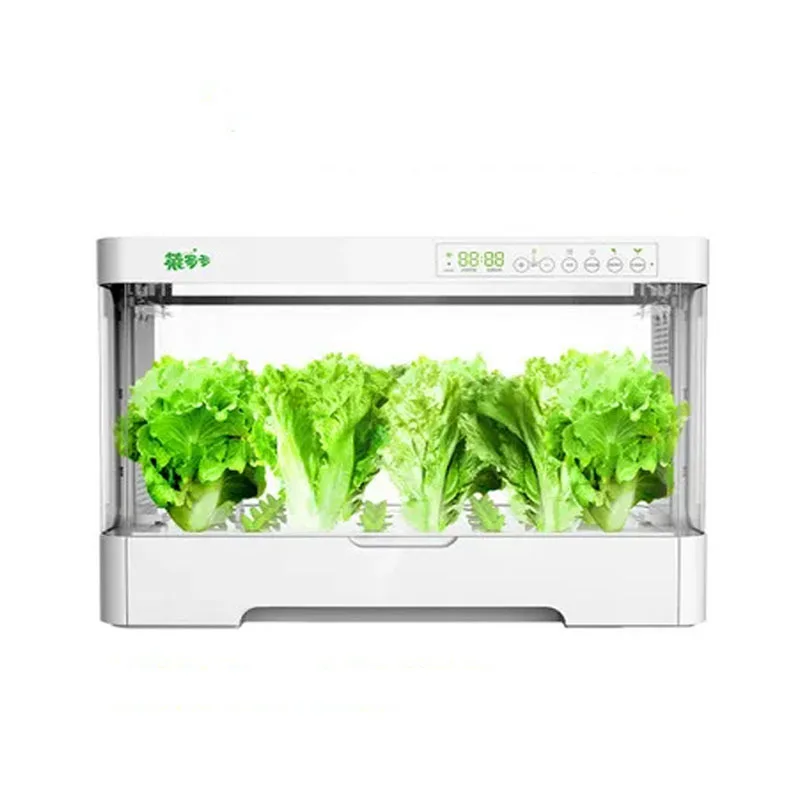 Oxygen Supply Electronic Water Cultivate Vegetable Seed Planting Enclosed Case Box Soilless Soil-Free Cultivation Equipment