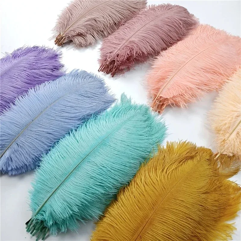 10Pcs/Lot Colored Ostrich Feathers for Crafts Wedding Decoration Handicraft Accessories Table Centerpieces Carnival Plumas Decor