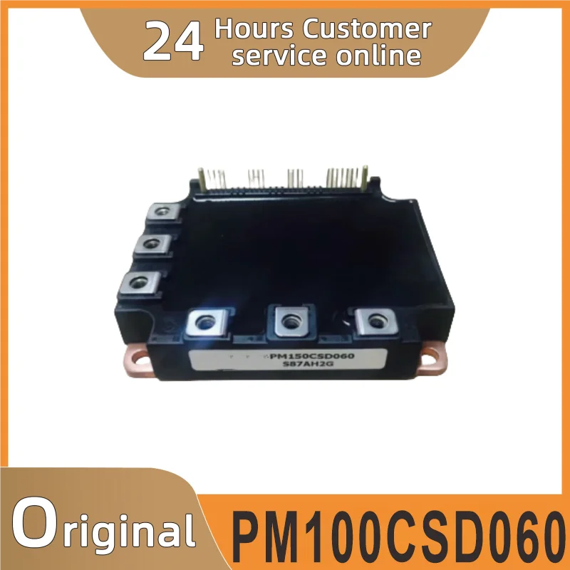 

New PM100CSD060 module.