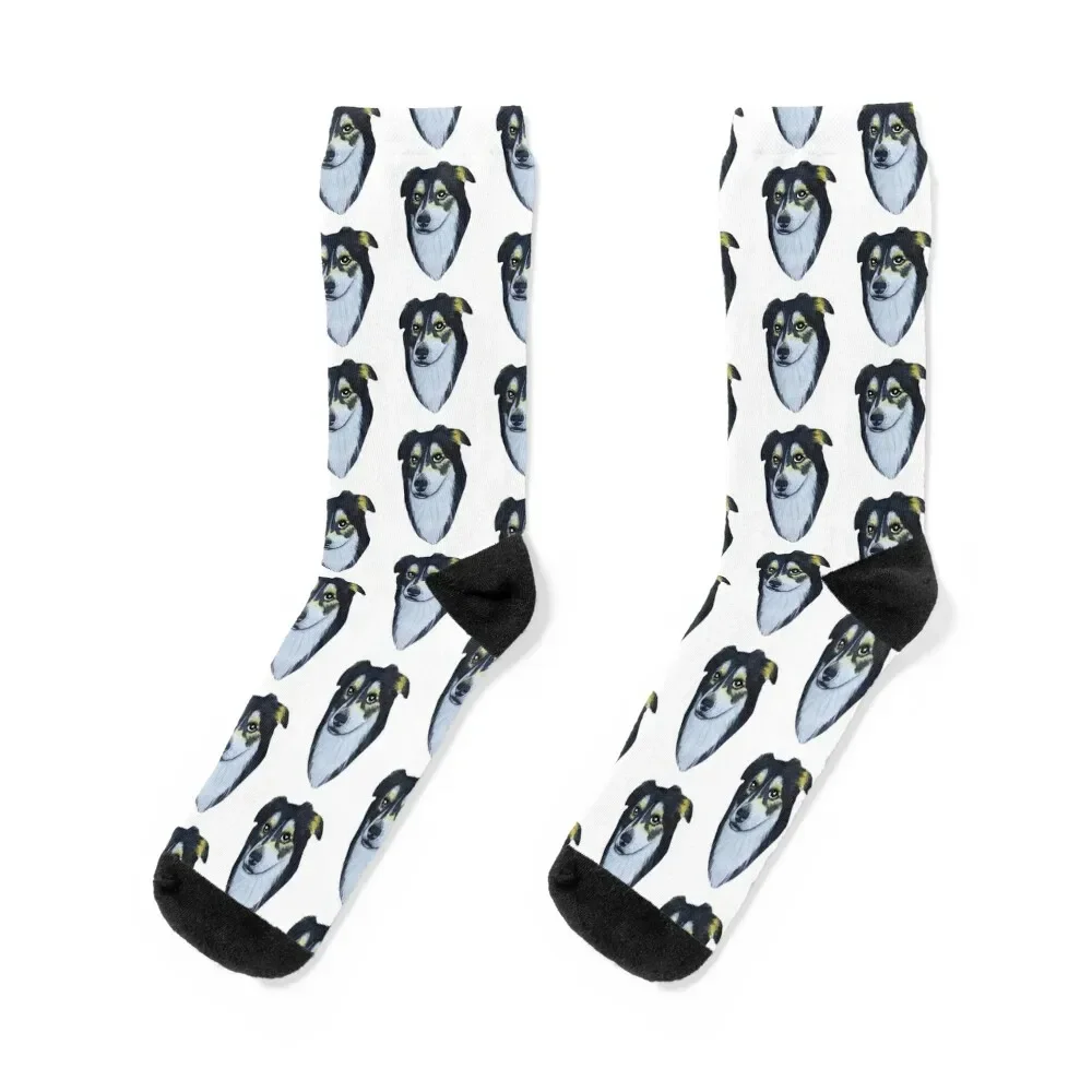 Adorable Border Collie Stickers Socks man FASHION Socks For Men Women's