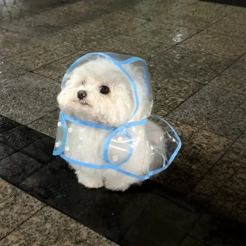 Dog Raincoat Small Dog Poncho Pet Raincoat Waterproof Teddy Bichon Pomeranian Schnauzer Shiba Maltese