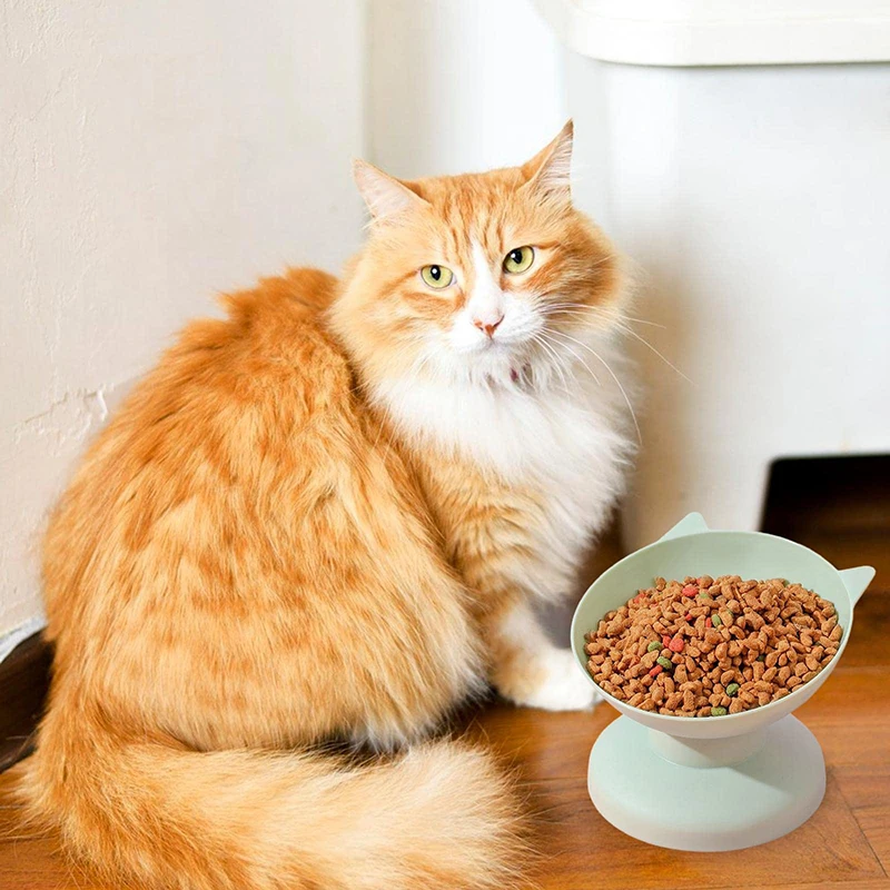 Tilted Elevated Cat Bowl Plastic Cat Dog Bowl Dish Anti Vomiting Pet Food Water Feeder Raised Dog Bowl Pet Accessories