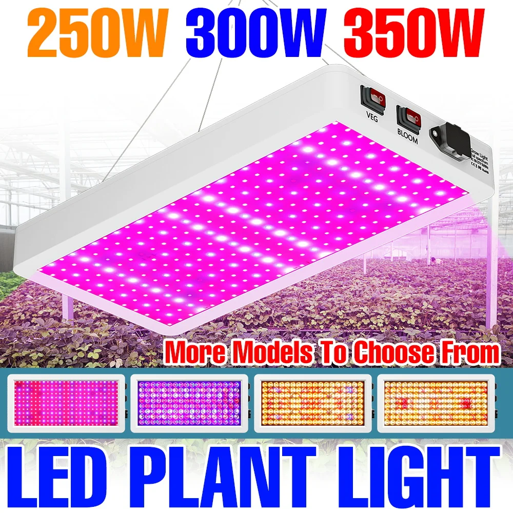 800w-led-grow-light-full-spectrum-220v-hydroponics-plant-fill-lamp-greenhouse-tent-fruit-flower-vegs-seeds-cultivation-lighting