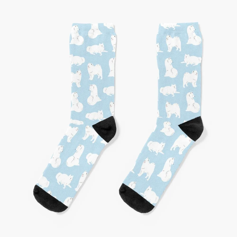 Samoyed Print Socks Sheer Socks Men