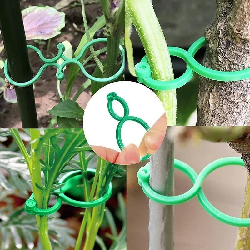 50/100Pcs Plastic Garden Vine Strapping Clips Tie Plant Bundled Buckle Ring Garden Tomato Grapevine Hook Plants Support Tools