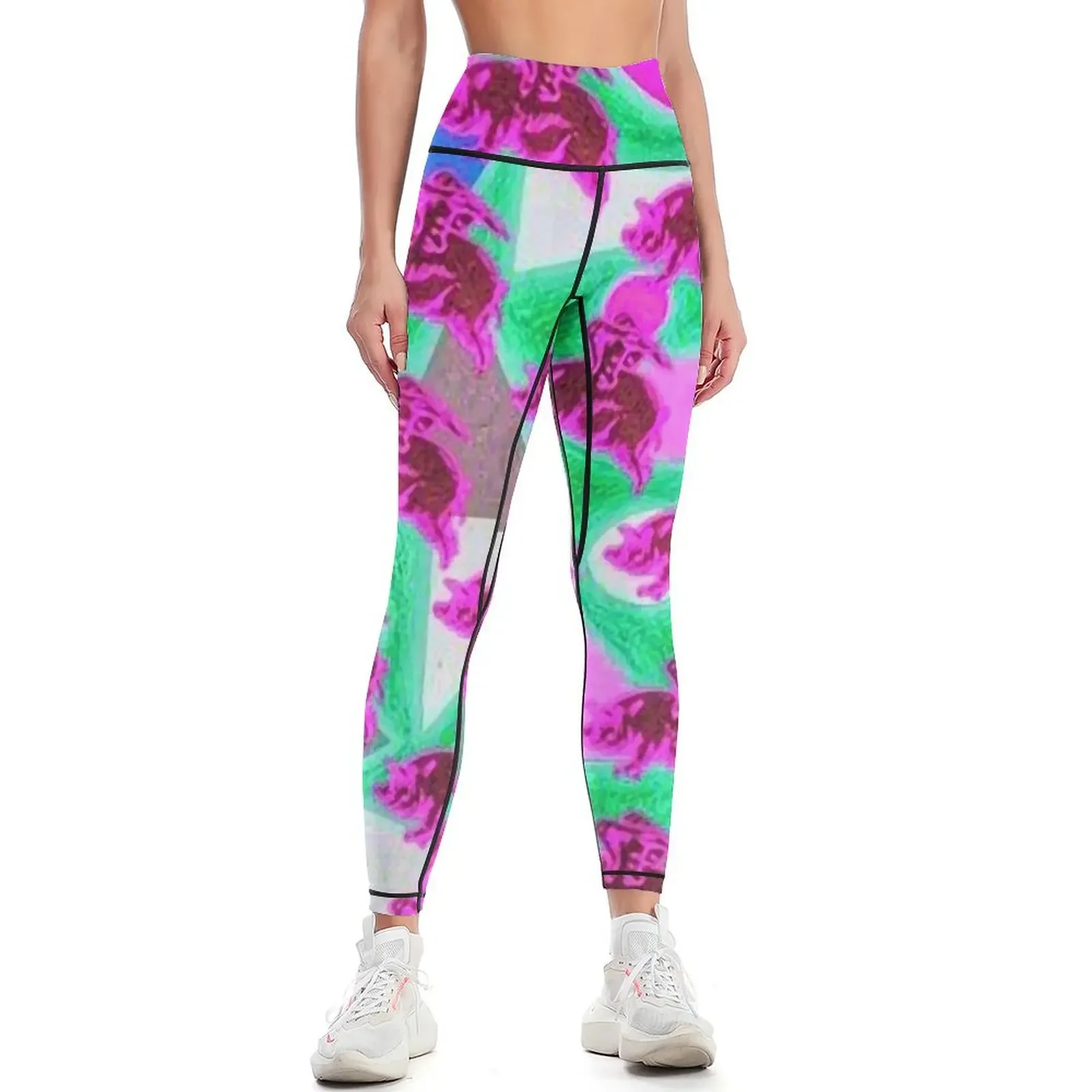 

When Pigs Fly Leggings sport legging sports shirts gym gym sportswear woman Legging sport Womens Leggings