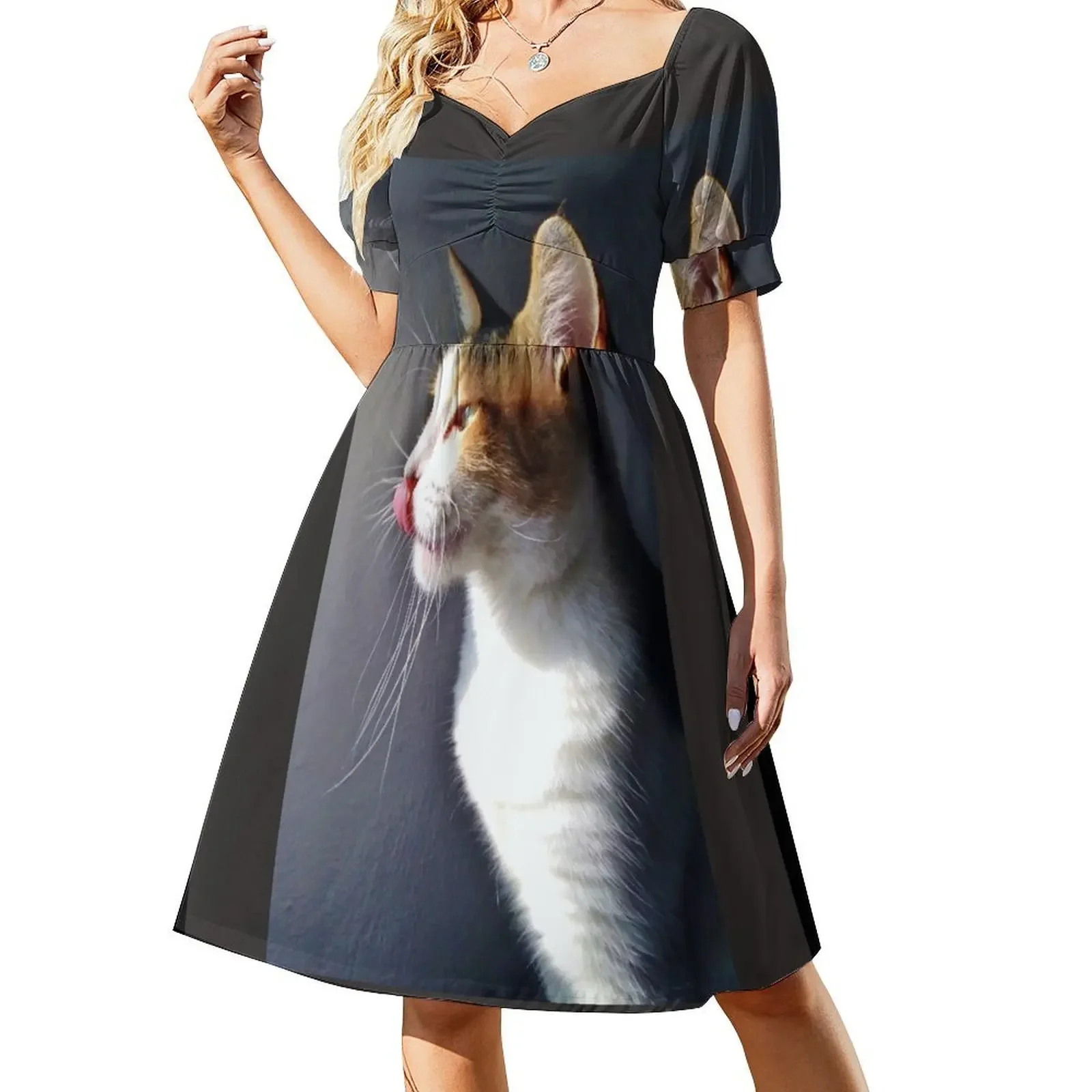 

My friend Lily's cat Short-Sleeved Dress women's clothing korea stylish women clothes