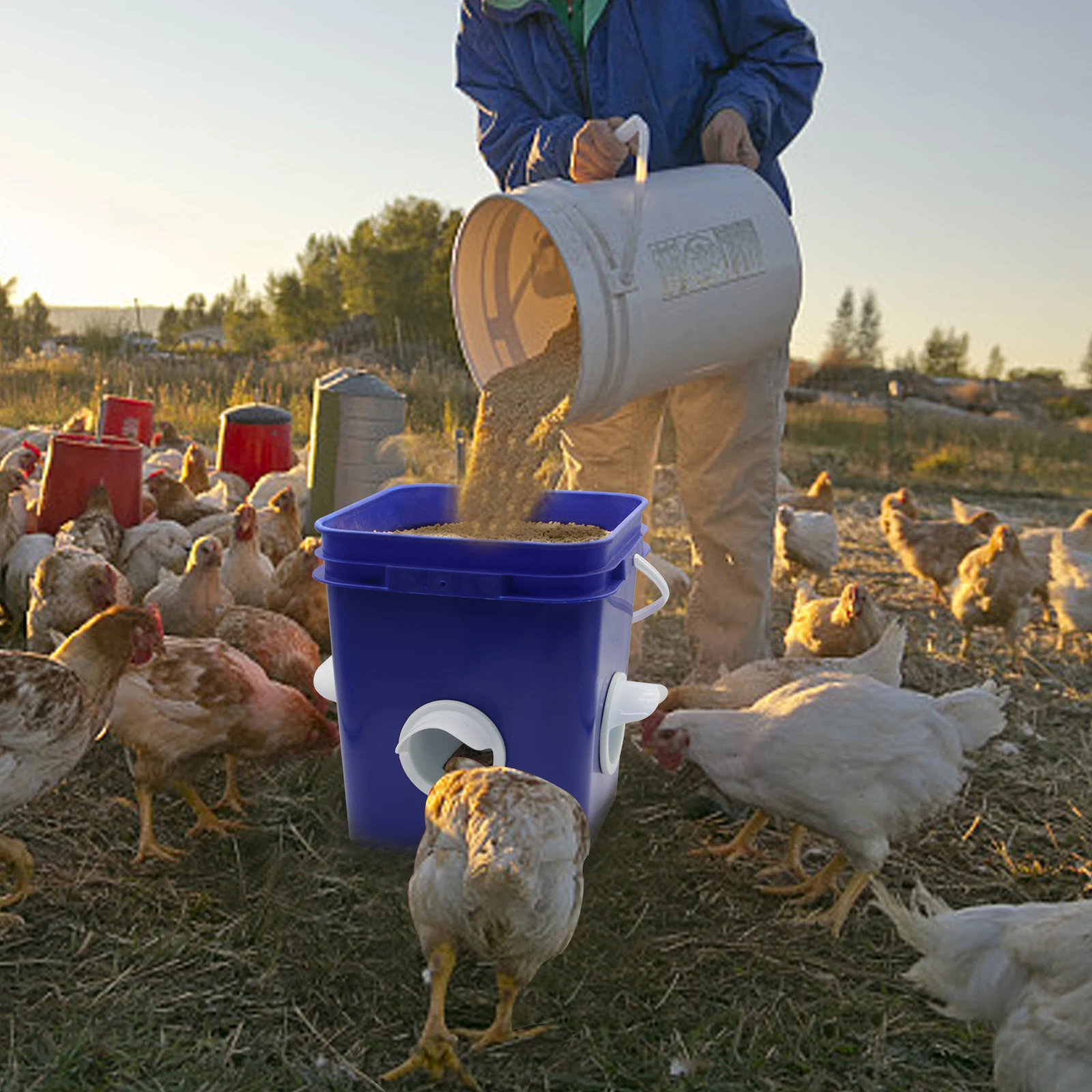 Abbeveratoio per polli per pollame Abbeveratoio per poule Forniture agricole a gravità Alimentatore antipioggia 4 porte e bevitore 8 fori per pollame