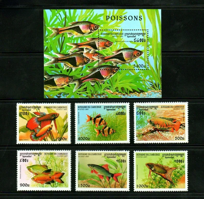 6 PCS+1, Cambodia, 1997, Fish Stamps, Real Original Post Stamps for Collection, MNH