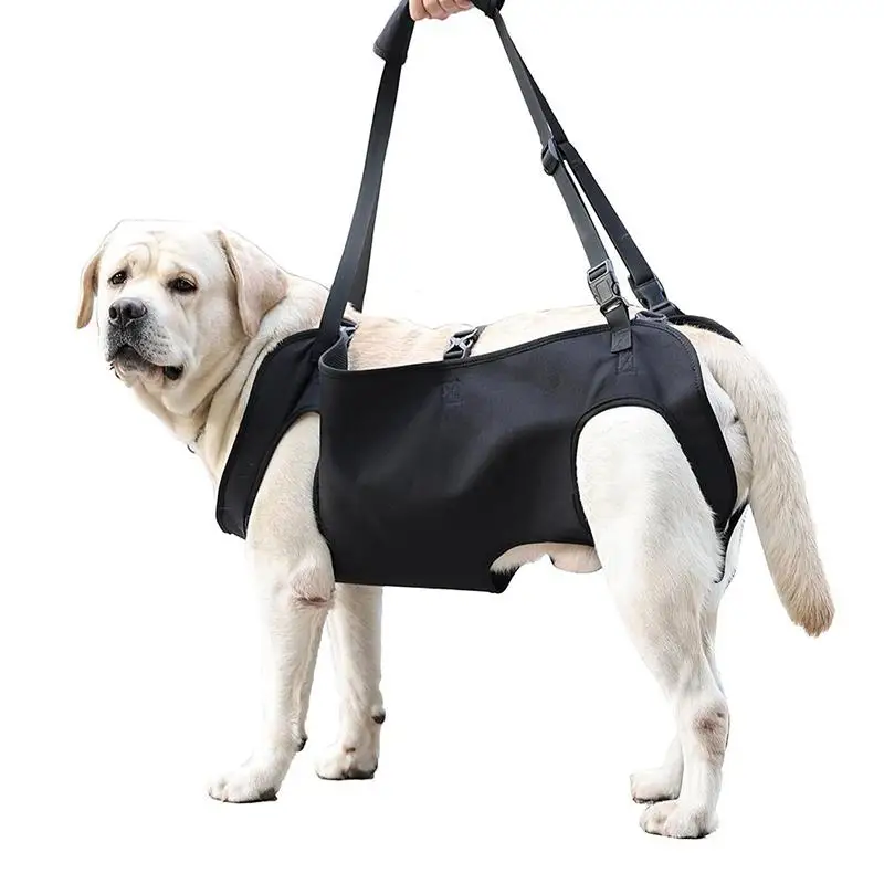 Dog Stair Assistance Leash Elderly Dog Support Sling Adjustable Pet Lift Vest Large Dog Stair Climbing Aid Harness