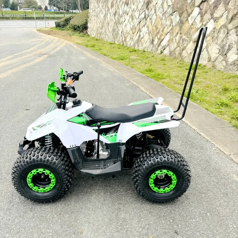 New Design 125cc Gas Powered Electric Start 2WD Kids ATV Automatic Chain Drive Transmission for Beach Use 4 Stroke Quad Wheel