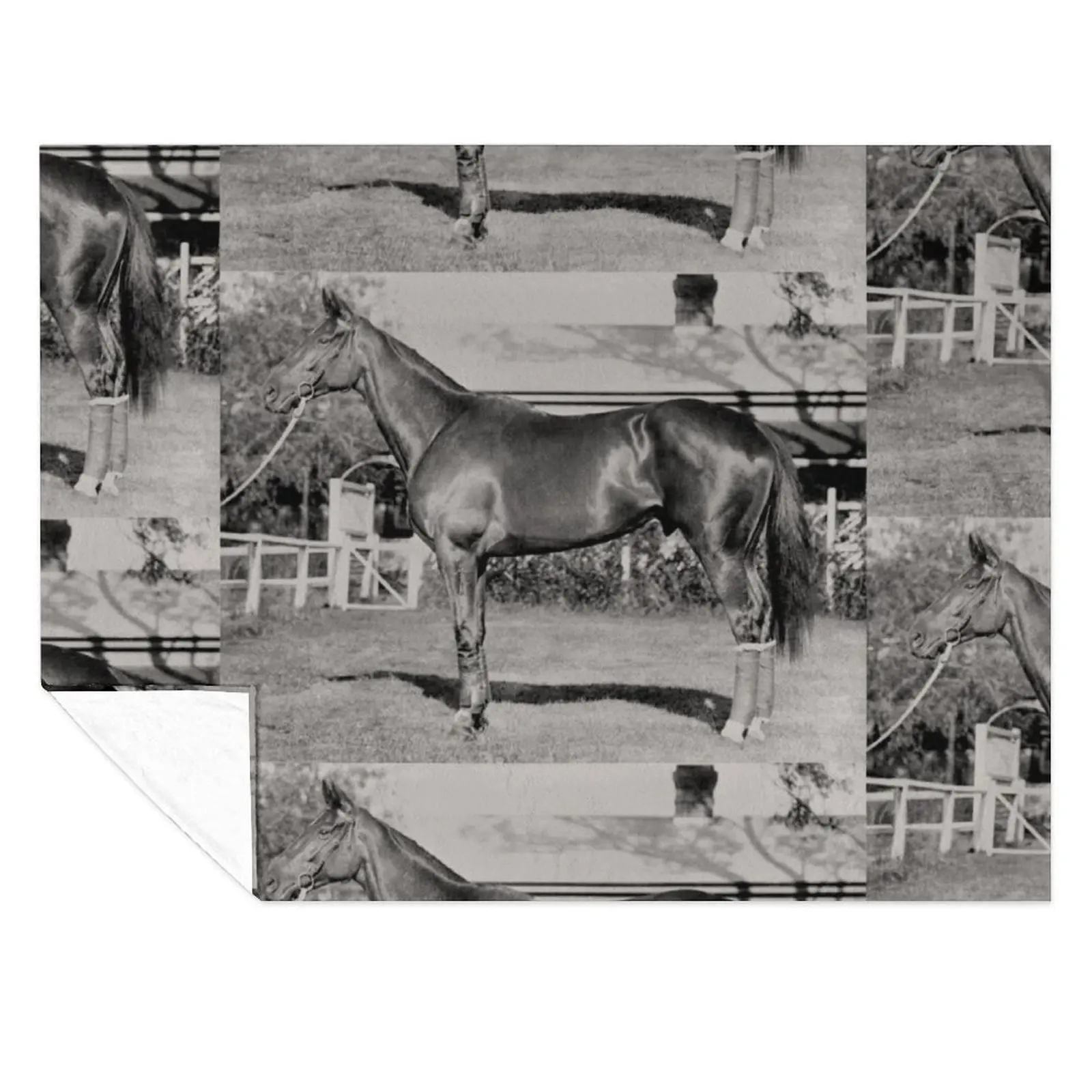 

Champion Australasian racehorse Phar Lap. Throw Blanket Multi-Purpose Soft Luxury Designer Beach Blankets