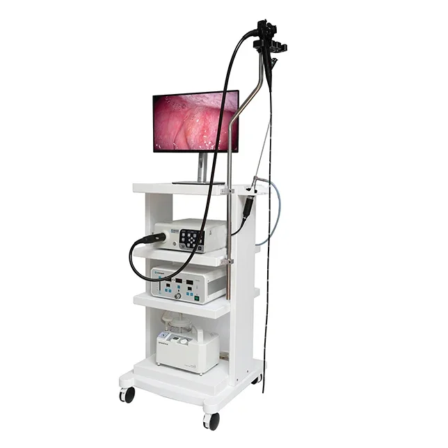 1200mm animal use gastroscope trolley gastroscopy endoscope