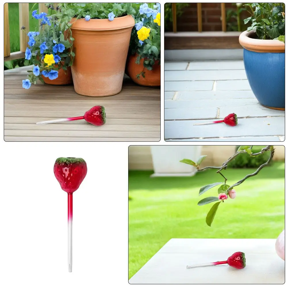 2Pcs Lazy Plant Watering Devices Strawberry Glass Self Watering Globes Large Water Bulbs for Indoor Outdoor Plants Automatic