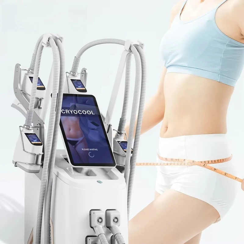 

Cryo Body Shape Cryolipolysys 4 Handles 360 Cryolipolysis Fat Cell Body Slimming Machine