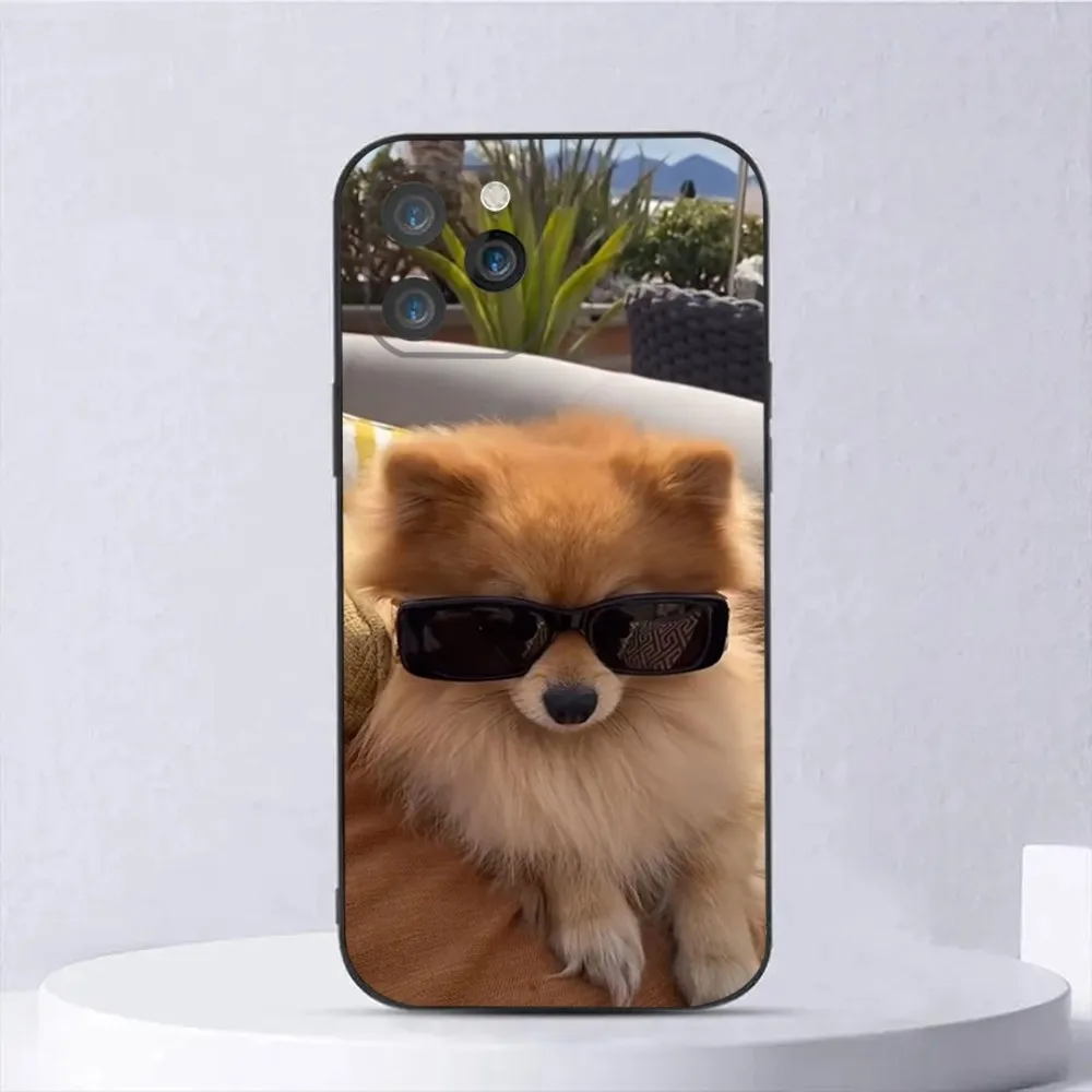 Funny Pomeranian Dogs Phone Case For iPhone15,14,13,12,11,Pro,Max,Plus,Mini,X,XS,XR,8,7,6,S,Plus,SE Soft Black Case