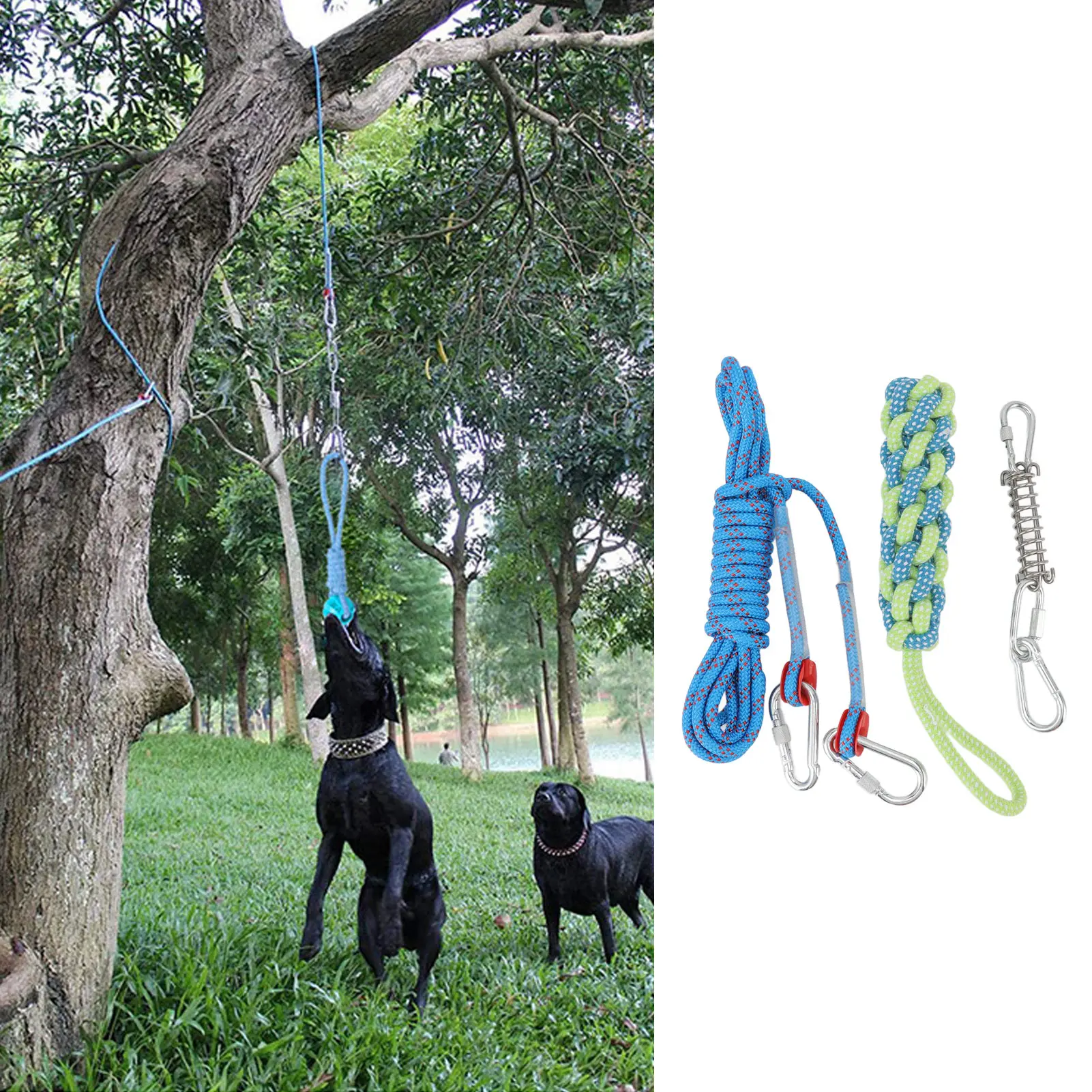 Spring Pole Dog Rope Toy Muscle Builder Interactive Dog Hanging Rope Toy For Small Medium Large Dogs