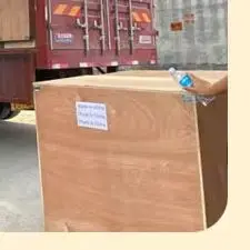 Cotton Candy Making…