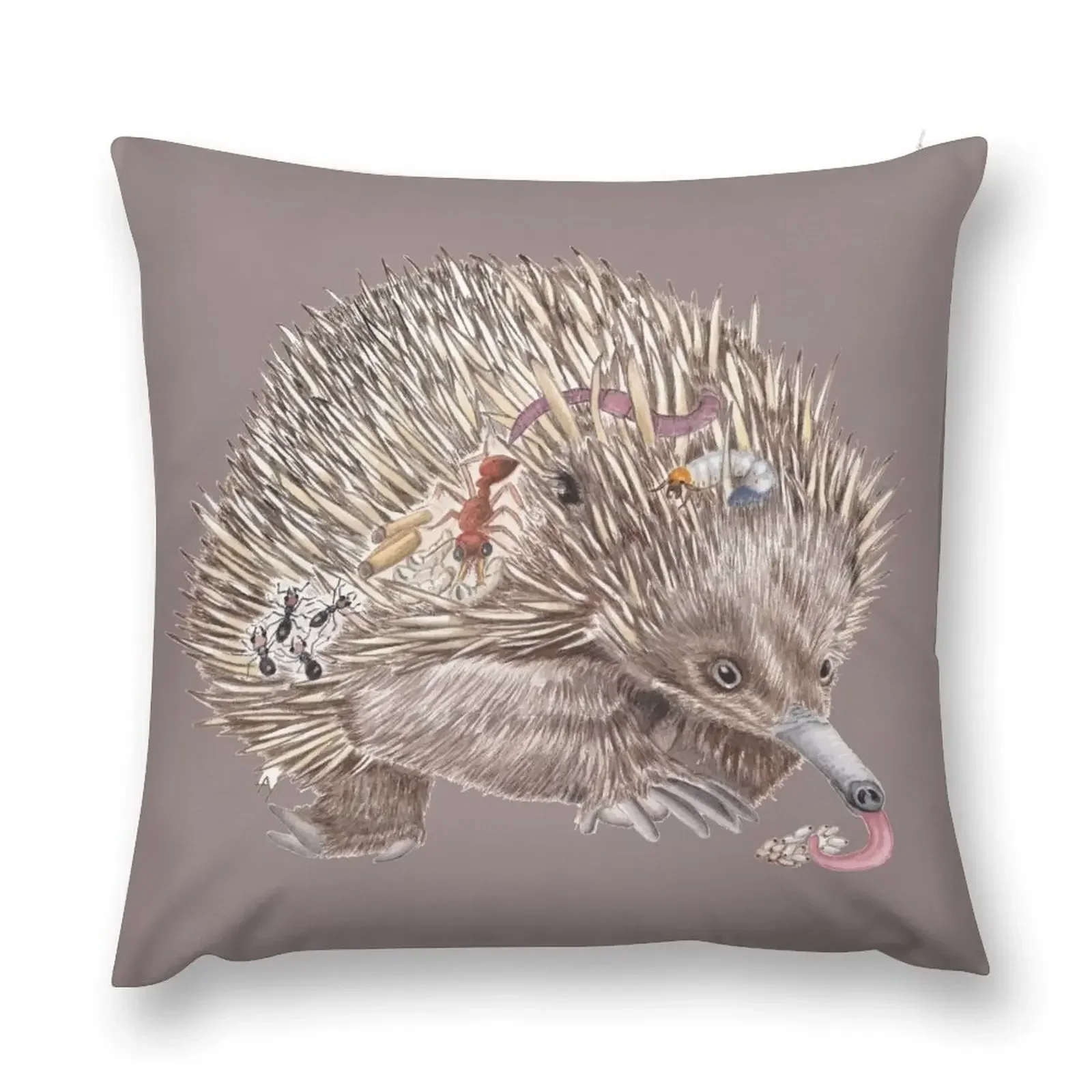 The Australian echidna with his favourite food. Throw Pillow Sofa Cushions Covers Embroidered Cushion Cover Couch Pillows pillow