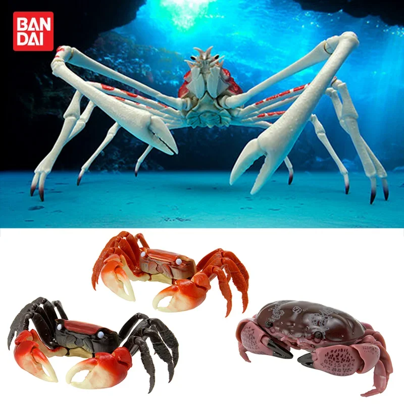 

BANDAI Gashapon Capsule Toy Crabs Spider Crab Model Toys Collection Table Ornaments Kids Birthday Gifts