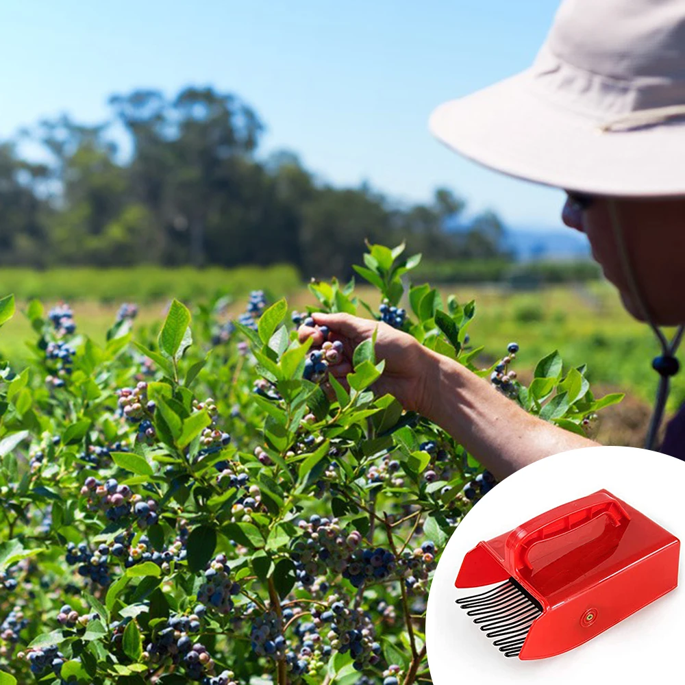 Pengambil Berry portabel, kole - Smart Garden Edging ulasan dan harga