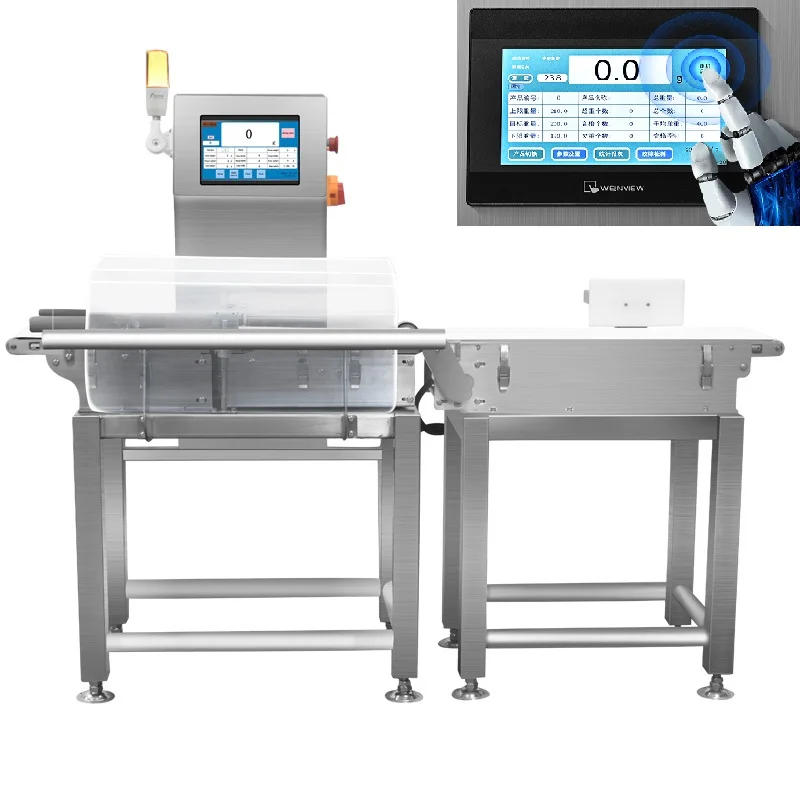 Mini Scale Conveyor Belt System