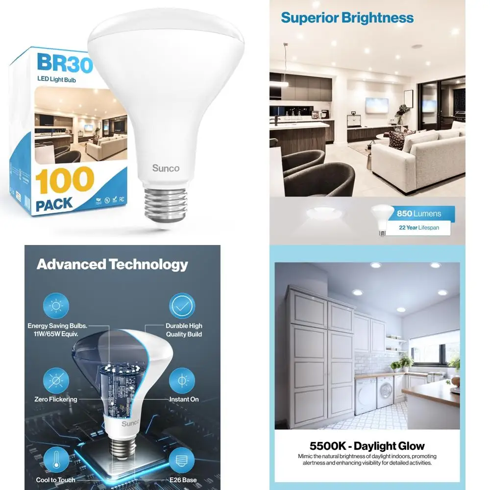 Led BR30 Recessed C…